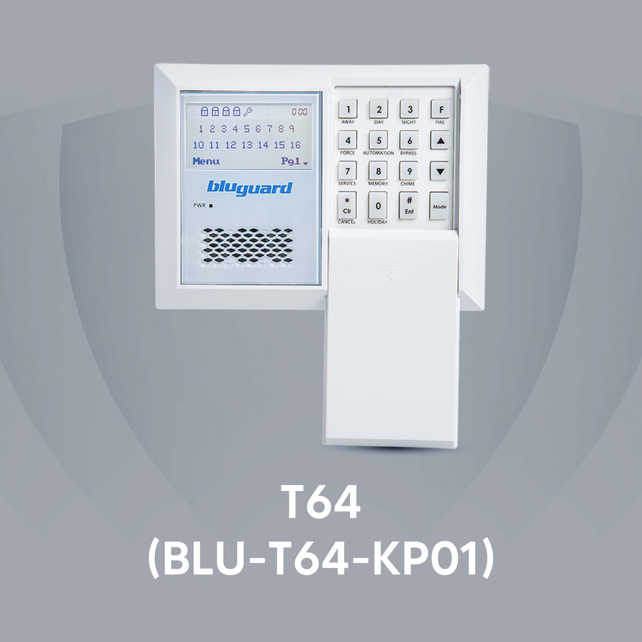 T64